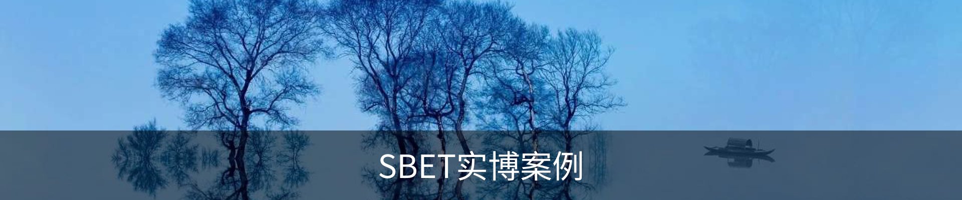 SBET实博案例