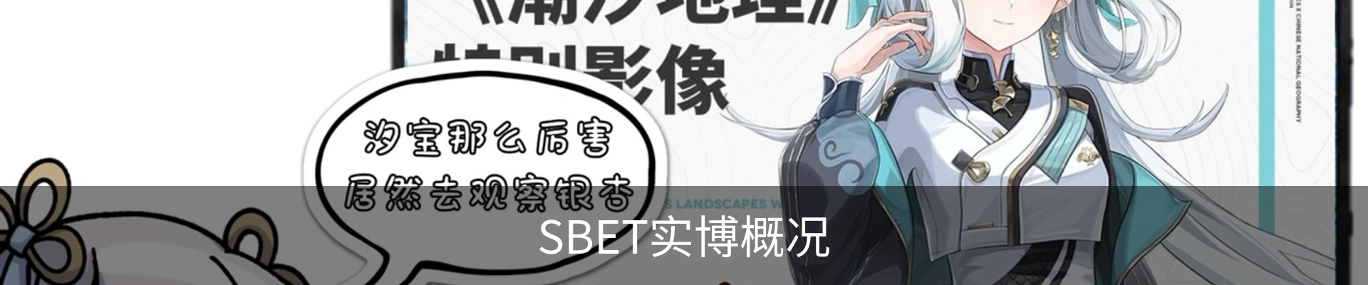 SBET实博概况
